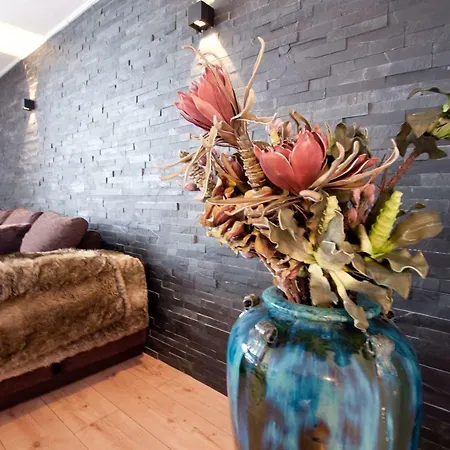 2br Close To Area And Jungfrau Train Appartement